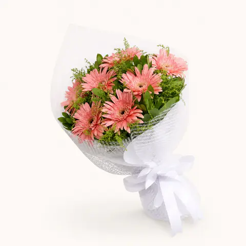Beyaz file ambalajlı pembe gerbera buketi