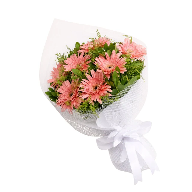 Pink Pinwheel Pembe Gerbera Buketi — Halkalı Sevinç Çiçekçilik