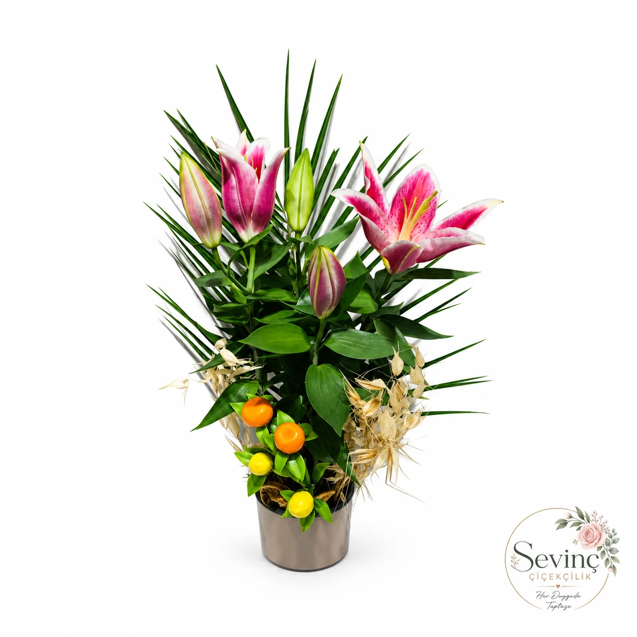Sandstone Melody Saksıda Pembe Lilyum — Halkalı Sevinç Çiçekçilik