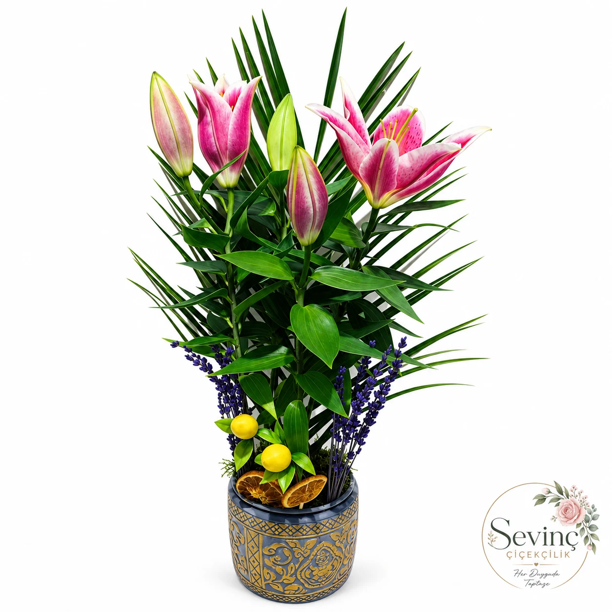 Indigo Citrus Lacivert Saksıda Pembe Lilyum — Halkalı Sevinç Çiçekçilik