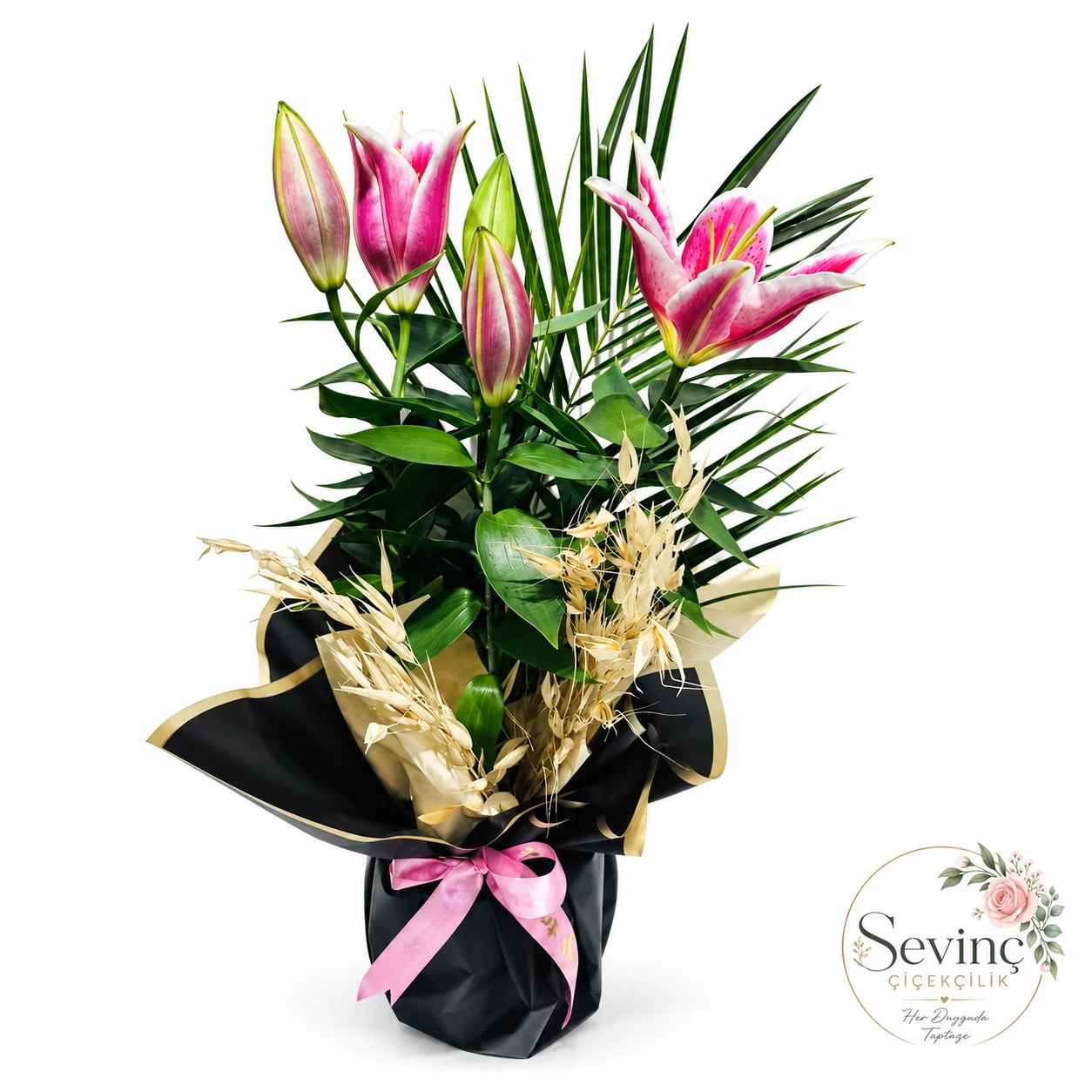 Noir Blossom Siyah Sarımlı Pembe Saksı Lilyum — Halkalı Sevinç Çiçekçilik