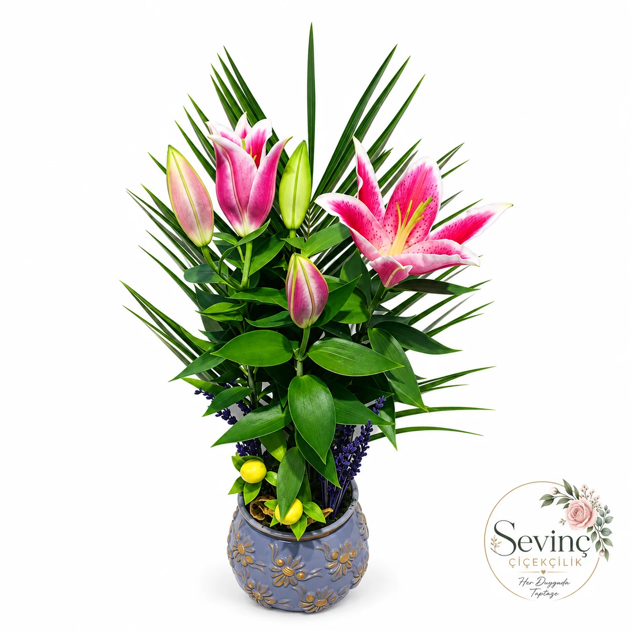 Blue Fleur Kabartmalı Saksıda Pembe Lilyum — Halkalı Sevinç Çiçekçilik