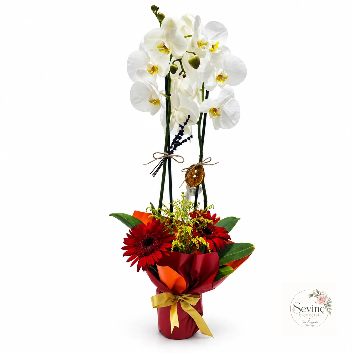 Rouge & Ivory Renkli Orkide ve Gerbera Aranjmanı