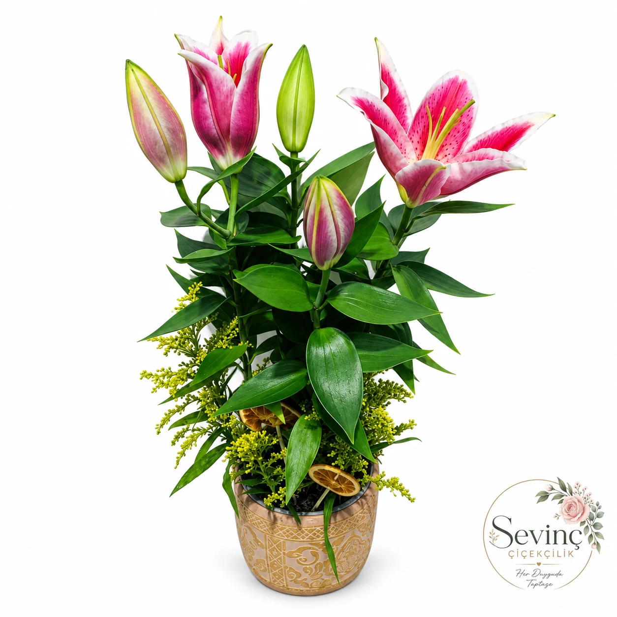 Amber Bloom Desenli Saksıda Pembe Lilyum — Halkalı Sevinç Çiçekçilik