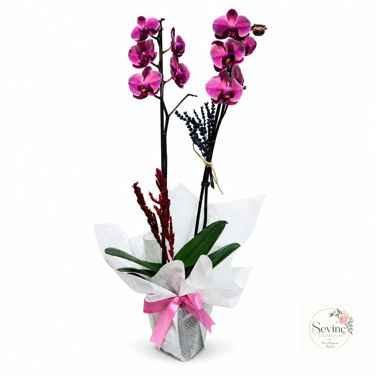 Silk Reverie Renkli Orkide Tasarımı