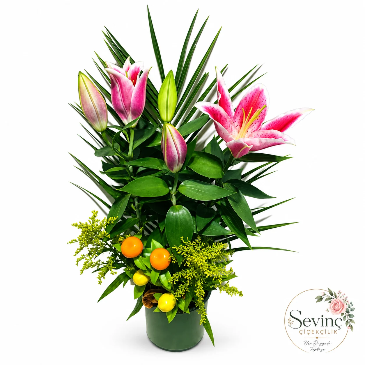 Citrus Grove Yeşil Saksıda Pembe Lilyum — Halkalı Sevinç Çiçekçilik