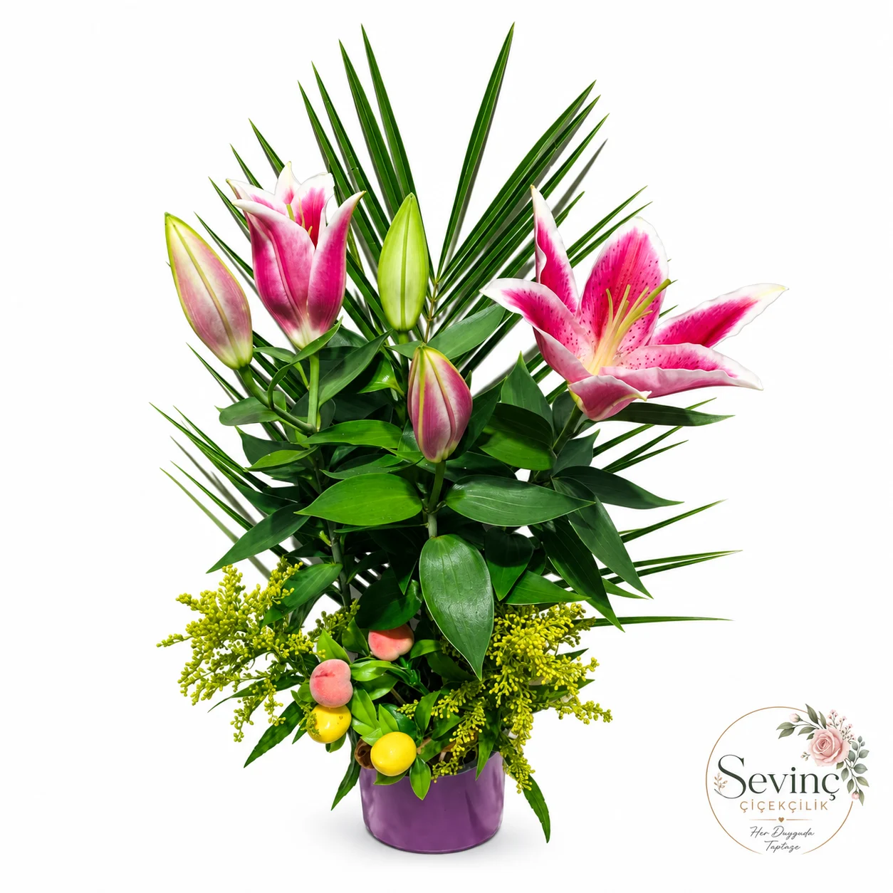 Plum Serenade Mor Saksıda Pembe Lilyum — Halkalı Sevinç Çiçekçilik